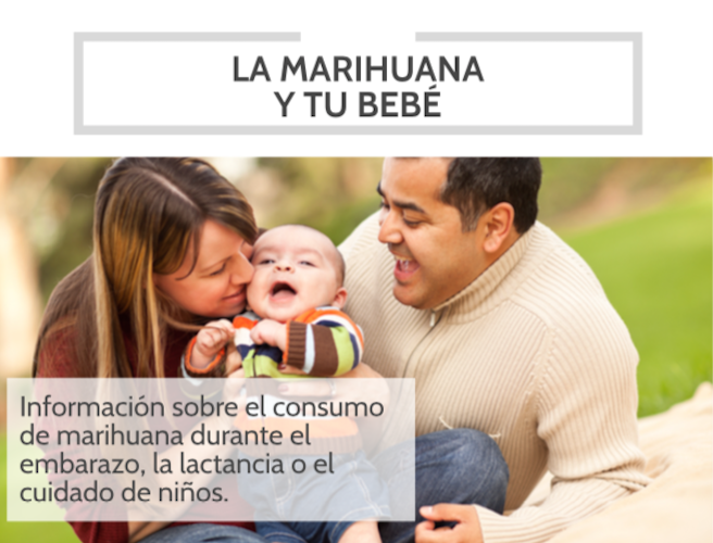 Marihuana y tu bebe